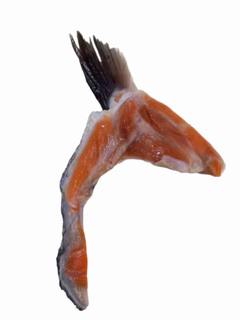 Rahang Salmon