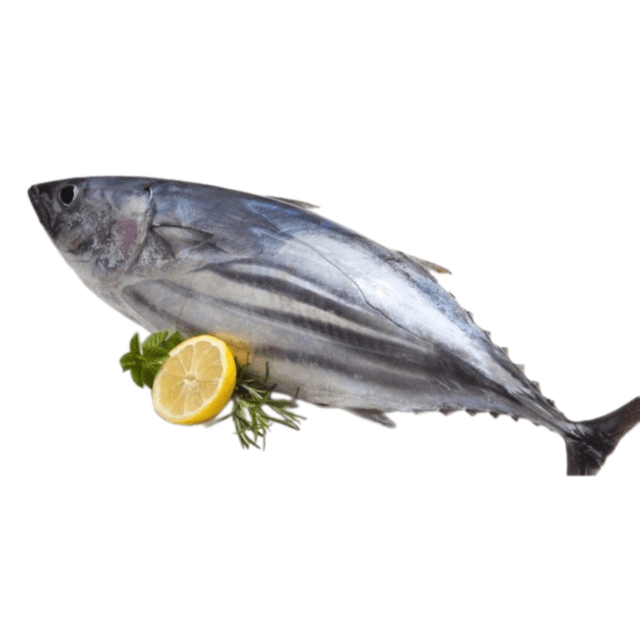 Tuna
