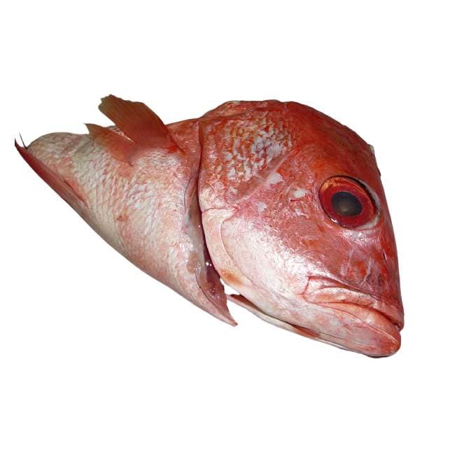 Kepala Kakap Merah