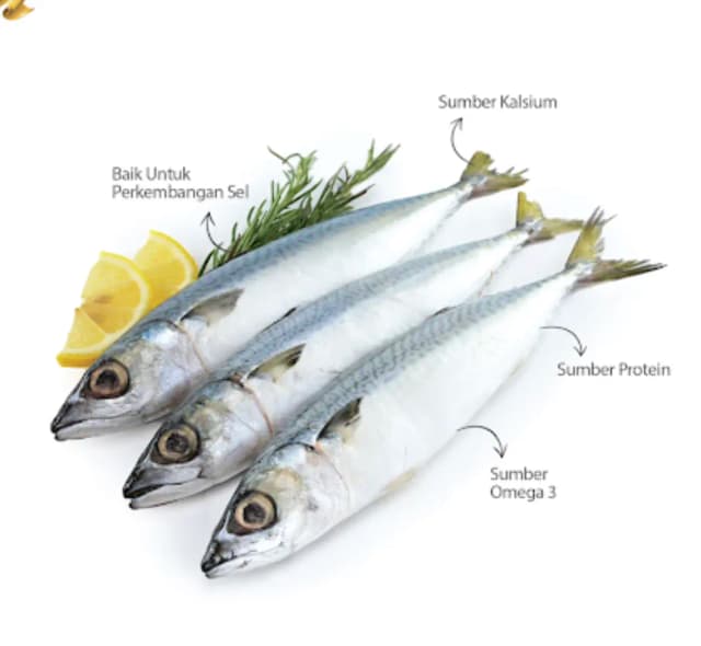 Seafood